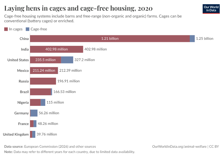 Laying hens in cages and cage-free housing
