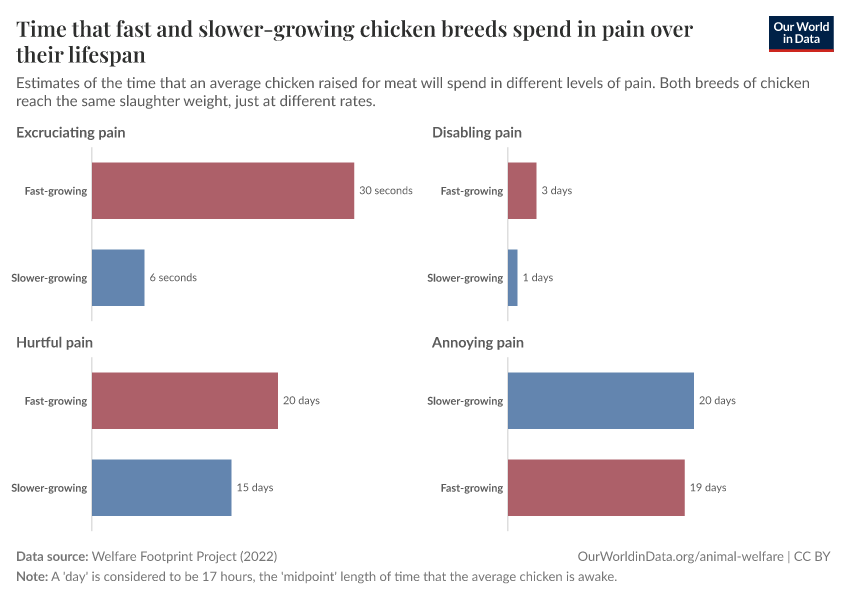 Time that fast and slower-growing chicken breeds spend in pain over their lifespan